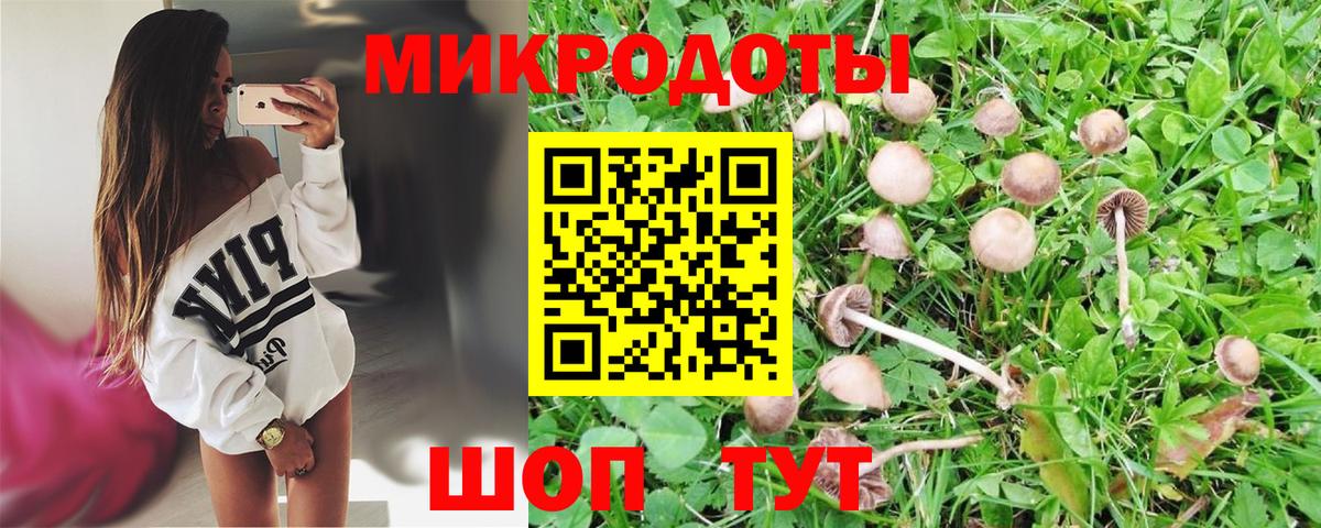 Галлюциногенные грибы Cubensis Железноводск